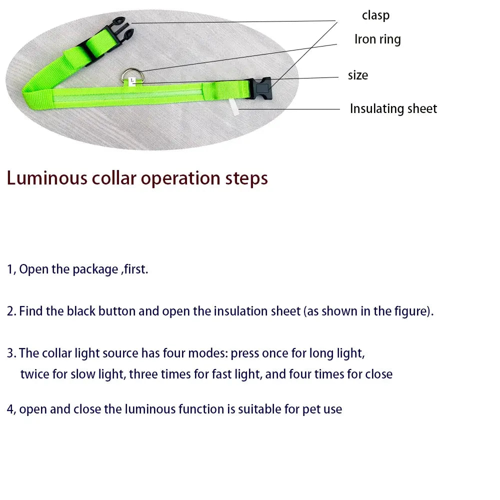 Paw Glow Nylon Leash & Collar